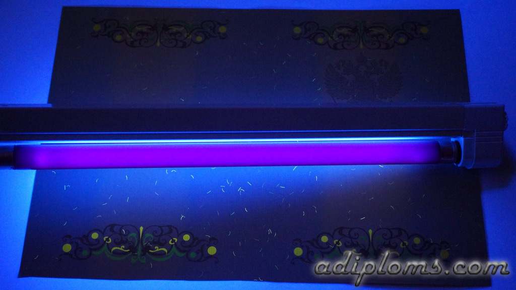 Диплом бакалавра 2010-2013 Фото Диплом бакалавра 2010-2013 Фото